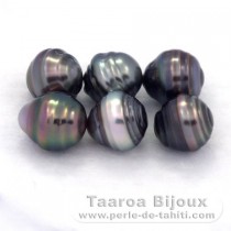Lote de 6 Perlas de Tahiti Anilladas C de 8.5 a 8.6 mm