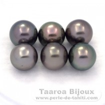 Lote de 6 Perlas de Tahiti Redondas C de 9 a 9.3 mm