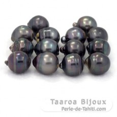Lote de 14 Perlas de Tahiti Anilladas D de 12.5 à 12.9 mm