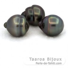 Lote de 3 Perlas de Tahiti Anilladas C de 11.5 a 11.9 mm