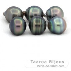 Lote de 6 Perlas de Tahiti Anilladas C de 12 a 12.3 mm