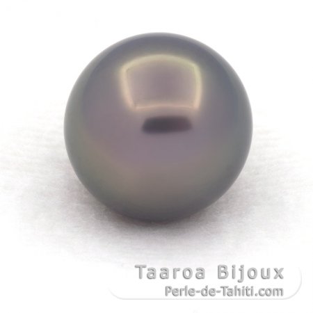 Perla de Tahití Redonda A/B 12.7 mm