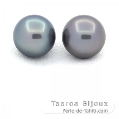 Lote de 2 Perlas de Tahiti Redondas C 11.7 y 11.9 mm