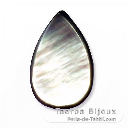 Forma gota en Nacarado de Tahiti - 24 x 15 mm