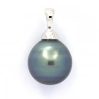 Colgante de Plata y 1 Perla de Tahiti Anillada C 11.7 mm