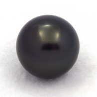 Perla de Tahit Redonda C 14.8 mm