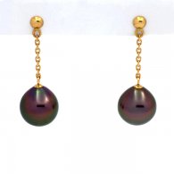 Aretes de Oro 18K y 2 Perlas de Tahiti Semi-Barrocas A 9.1 mm