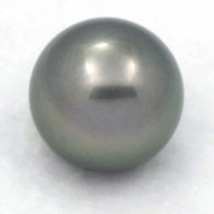Perla de Tahit Redonda C 13 mm