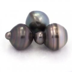Lote de 3 Perlas de Tahiti Anilladas C de 13 a 13.4 mm