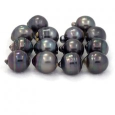 Lote de 14 Perlas de Tahiti Anilladas D de 12.5  12.9 mm
