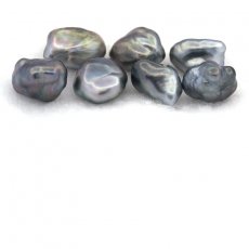 Lote de 7 Keishis de Tahiti - 3.08 gr