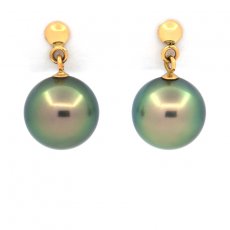 Aretes de Oro 18Kl y 2 Perlas de Tahiti Redondas B 8.9 mm