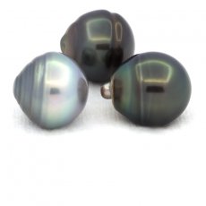 Lote de 3 Perlas de Tahiti Anilladas C de 12.5 a 12.9 mm