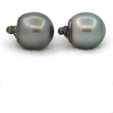 Lote de 2 Perlas de Tahiti Semi-Barrocas C 13.5 y 13.7 mm