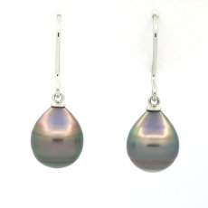 Aretes de Plata y 2 Perlas de Tahiti Anilladas B/C 10 mm