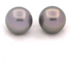 Lote de 2 Perlas de Tahiti Redondas C 11.9 mm