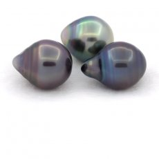 Lote de 3 Perlas de Tahiti Anilladas C de 10.5 a 10.8 mm