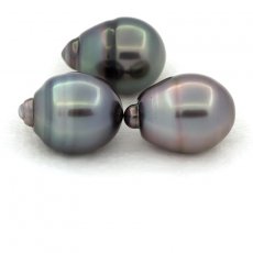 Lote de 3 Perlas de Tahiti Anilladas C de 11.6 a 11.9 mm