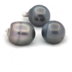 Lote de 3 Perlas de Tahiti Anilladas C de 13 a 13.3 mm
