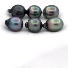 Lote de 6 Perlas de Tahiti Semi-Barrocas B/C de 11.5 a 11.9 mm