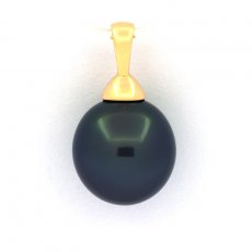 Colgante de Oro 18Kl y 1 Perla de Tahiti Semi-Barroca B 11 mm