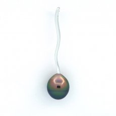 Colgante de Plata y 1 Perla de Tahiti Anillada B 9.2 mm