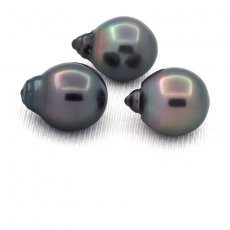 Lote de 3 Perlas de Tahiti Semi-Barrocas C 12.2 mm