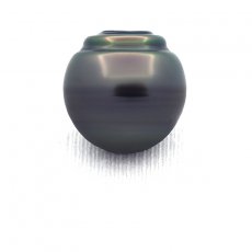 Perla de Tahit Anillada C 14.3 mm