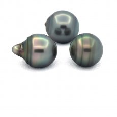 Lote de 3 Perlas de Tahiti Anilladas C de 11.5 a 11.6 mm