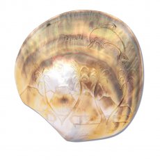 Madreperla di Tahiti Incisa - 12.5 x 12.5 cm