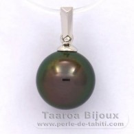 Colgante de Oro blanco 18Kl y 1 Perla de Tahiti Redonda B 10.1 mm