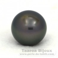 Perla de Tahit Redonda B 14 mm