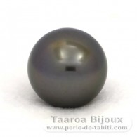 Perla de Tahit Redonda C 14.6 mm
