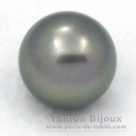 Perla de Tahití Redonda C 13 mm