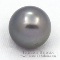 Perla de Tahití Redonda C 14.3 mm
