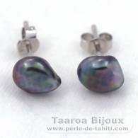 Aretes de Plata y 2 Keishis de Tahiti