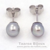 Aretes de Plata y 2 Keishis de Tahiti