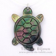 Tortuga en Nacarado - Regalo libre para las compras sobre 400