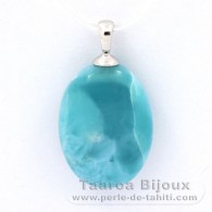 Colgante de Plata y 1 Larimar - 20 x 14.5 x 7.7 mm - 3.75 gr