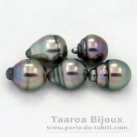Lote de 5 Perlas de Tahiti Anilladas B de 8.6 a 8.8 mm