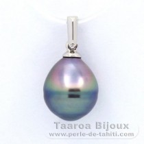 Colgante de Plata y 1 Perla de Tahiti Anillada C 10.1 mm