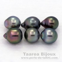 Lote de 6 Perlas de Tahiti Semi-Barrocas B de 7.7 a 8.3 mm