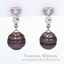 Aretes de Plata y 2 Perlas de Tahiti Anilladas C 8.6 mm