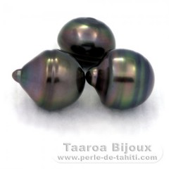Lote de 3 Perlas de Tahiti Anilladas C de 12.3 a 12.4 mm