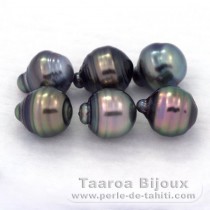 Lote de 6 Perlas de Tahiti Anilladas C de 8.5 a 8.8 mm