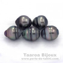 Lote de 5 Perlas de Tahiti Anilladas C de 8.5 a 8.8 mm