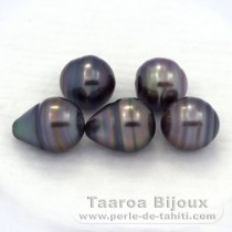Lote de 5 Perlas de Tahiti Anilladas C de 9.6 a 9.8 mm
