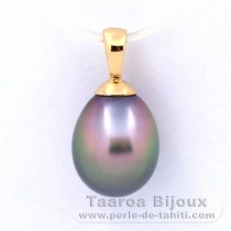 Colgante de Oro 18Kl y 1 Perla de Tahiti Semi-Barroca A 8.7 mm