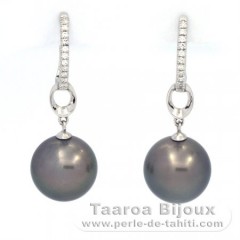 Aretes de Plata y 2 Perlas de Tahiti Redondas B/C 11.3 mm