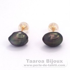 Aretes de Oro 18Kl y 2 Keishis de Tahiti